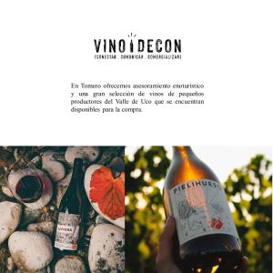 a person holding a bottle of wine next to rocks at Tomero Apartamento in Tupungato +27 photos