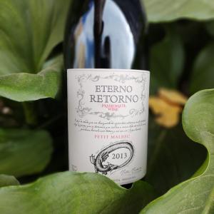 een fles wijn bovenop groene bladeren bij Tomero Apartamento in Tupungato