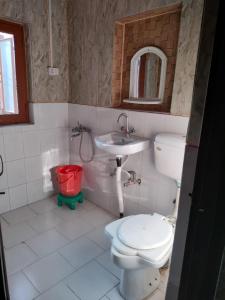 łazienka z toaletą i umywalką w obiekcie HOTEL REGENCY w mieście Śrinagar