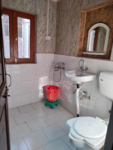 ein Bad mit einem WC und einem Waschbecken in der Unterkunft HOTEL REGENCY in Srinagar