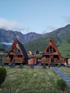 卡茲別吉的住宿－Kazbegi Spa Resort Cottages，山间小屋,背景是群山