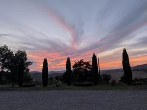 een zonsondergang met een groep cipressen op een weg bij Il poggio più 'n giù in Volterra