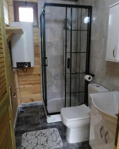 a bathroom with a shower and a toilet and a sink at YEŞİL BAHÇE EVLERİ 
