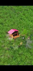 une petite maison au milieu d'un champ d'herbe dans l'établissement YEŞİL BAHÇE EVLERİ, 