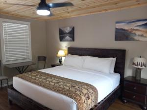 een slaapkamer met een groot bed in een kamer bij Carter Lodge - On The River in Chimney Rock