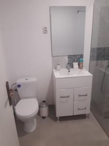 uma casa de banho com um WC, um lavatório e um chuveiro em STUDIO 25 em Vaslui