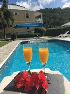 two glasses of orange juice and red flowers next to a swimming pool at Palm breeze: sea view near Jolly Beach in Jolly Harbour