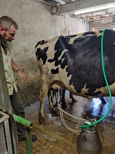 un homme lave une vache avec un tuyau dans l'établissement ferme pedagogique des pennetieres, à Montcorbon