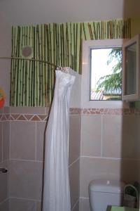 呂翁的住宿－Maison proche rivière，带淋浴帘和卫生间的浴室