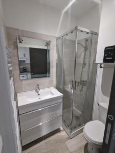 ein Bad mit einer Dusche, einem Waschbecken und einem WC in der Unterkunft Comfortable studio of 18 m for 2 people in Montpellier