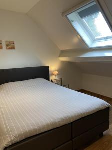 een slaapkamer met een bed en een dakraam bij B&B Appartementen Engelenhof in Stevensweert