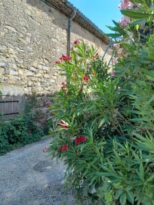 un cespuglio con fiori rossi accanto a un edificio di LA TERRASSE AUX HIRONDELLES maison 80m2 2 chambres 2 salles de bains a Lagorce