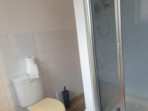 a bathroom with a toilet and a shower at Large first floor flat walking distance to beach in Weston-super-Mare
