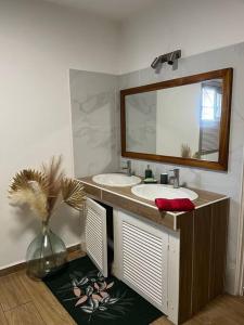 a bathroom with a sink and a mirror at La Villa Manee in La Saline les Bains
