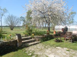 un jardín con mesa, sillas y un árbol en Domaine De Silvabelle, en Mars-sur-Allier