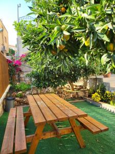 Jardí fora de Maria's GuestHouse - Uphill View of Nazareth F