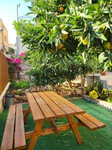 een houten bank voor een sinaasappelboom bij Maria's GuestHouse - Uphill View of Nazareth F in Nazareth