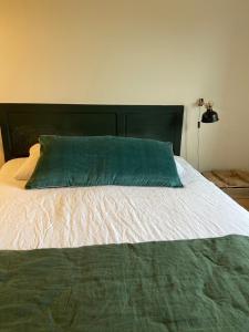 Una cama con una almohada verde encima. en l'Aod, maison d'hôtes insulaire en Lampaul