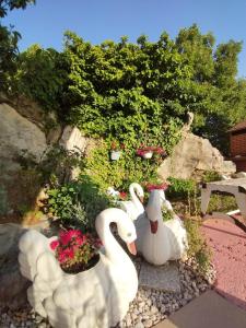 two white swans are sitting in a garden at Soba Ivanka Nikšić in Karlobag