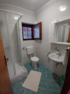 a bathroom with a toilet and a shower and a sink at Soba Ivanka Nikšić in Karlobag