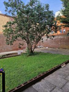 a tree in the middle of a yard with grass at Modern 3BD London Flat in London