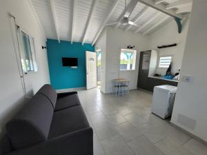 a living room with a couch and a blue wall at Do-Lambis et Do-Corrosol in Baie-Mahault