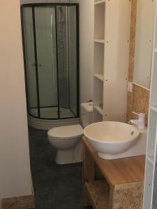 y baño con ducha, aseo y lavamanos. en Petite maison de campagne en Castillon-de-Castets