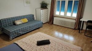 a living room with a couch and a rug at City Home St Gallen in St. Gallen