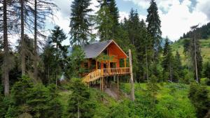 ein Baumhaus mitten im Wald in der Unterkunft Cottage farvana in Khulo