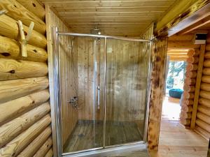 Una ducha en una habitación con paredes de madera. en Cottage farvana, en Khulo