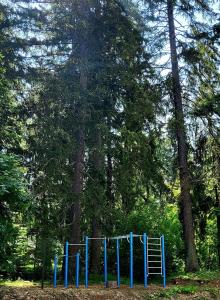 a blue rack in the middle of a forest at MAGRI Luxurious Apartment A42 Borovets Gardens in Borovets
