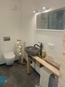 a bathroom with a sink and a toilet at Urlaub mit Kneipp-Angeboten in Loitz