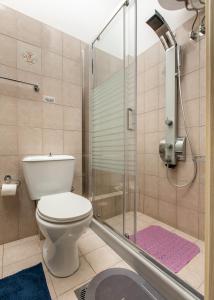 W łazience znajduje się toaleta i przeszklony prysznic. w obiekcie Central Cozy Apartment 2 w mieście Sparta