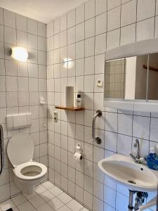 ein Bad mit einem WC und einem Waschbecken in der Unterkunft Bayerischer Wald - Balbersdorf in Waffenbrunn