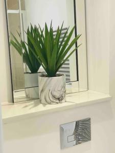 a plant in a vase sitting on a bathroom shelf at Luxurious modern new built 4 bedrooms in Manchester