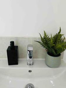 a bathroom sink with a cup and a potted plant at Luxurious modern new built 4 bedrooms in Manchester