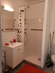 ein Bad mit einer Dusche, einem Waschbecken und einem WC in der Unterkunft Le Petit Nid de Nant in Nant