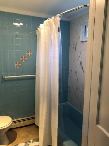 uma casa de banho com uma cortina de chuveiro e um WC em Walk to Downtown Salem em Salem