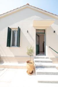 ein weißes Haus mit einer Topfpflanze auf den Stufen in der Unterkunft Sunny yard apartments in Poros