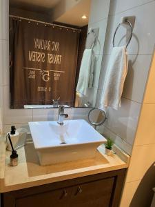 ein Badezimmer mit einem weißen Waschbecken und einem Spiegel in der Unterkunft Hermoso Depto en sector alto de Las Condes in Santiago