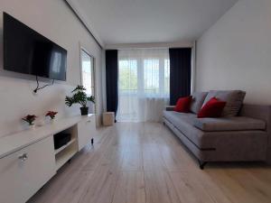salon z kanapą i telewizorem z płaskim ekranem w obiekcie Albatros Apartment Stogi w Gdańsku