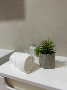une serviette et une plante en pot sur un comptoir de salle de bains dans l'établissement Apartments Bulevar, à Sarajevo