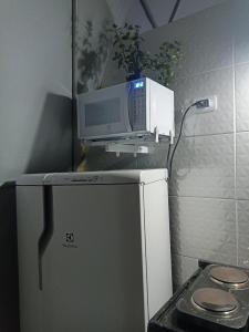 Un four micro-ondes est installé au-dessus d'un réfrigérateur. dans l'établissement Domo geodésico_conforto e relaxamento na natureza, à Socorro