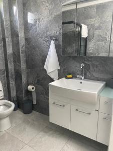 uma casa de banho com um lavatório e um WC em Kiralık Lüx Deniz Manzaralı Bahçeli Villa/Luxury Sea View Garden Villa for Rent em Trabzon