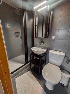 a bathroom with a toilet and a sink and a shower at Ustup 25 in Zakopane