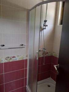 a bathroom with a shower with red tiles at Summer Apartment in Kotor