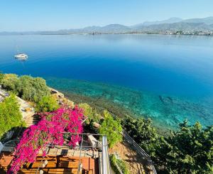 a view of a large body of water with a boat at Ece Hotel Sovalye Island in Fethiye