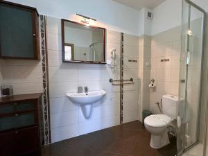 Un baño con lavabo, inodoro y espejo. en Penzión TOKAJ MACIK WINERY Guesthouse, en Malá Tŕňa 38 fotos más