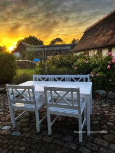 Fotografie z fotogalerie ubytování Strågården Nyord v destinaci Nyord
