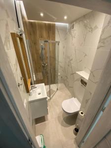 a bathroom with a shower and a toilet and a sink at Apartament na Broniewskiego in Gdańsk